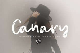 Canary: A Designer's Review of Script Amp's Latest Release