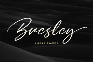 Elevate Your Campaigns with the Bresley Typeface