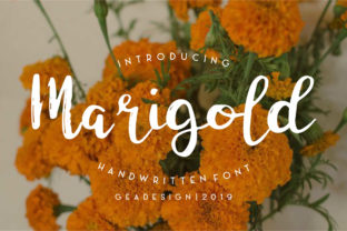 Marigold Font Review: Elevating Web Design with Handwritten Elegance