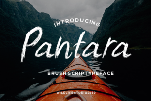 Pantara: A Modern Script Font for Small Business Branding