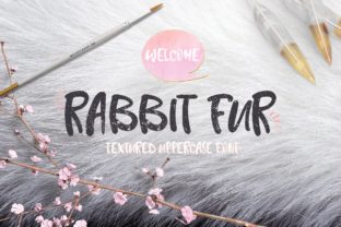 Rabbit Fur Font: A Bold Typeface for Small Business Branding