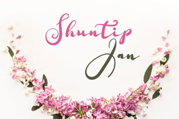 Shuntip Jan Font Review: Elevating Campaign Visuals