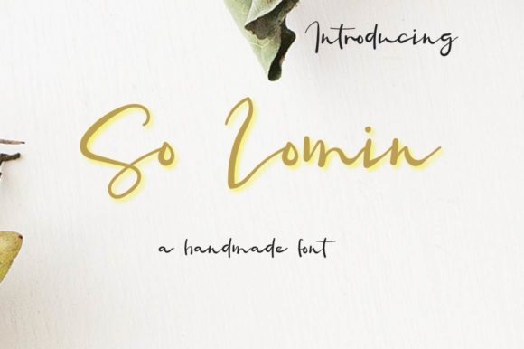 So Lomin: A Handwritten Font for Bold Campaigns